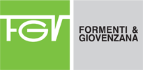 FGV_logo